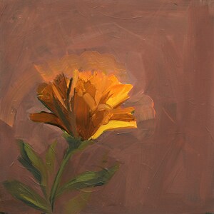 CANVAS wall art . Calendula . ready to hang . gallery stretched . giclee art print image 2