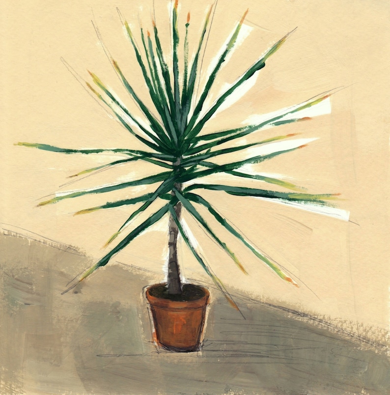 Small Yucca . giclee art print available in all sizes image 1