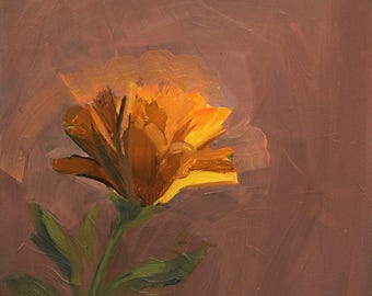 Calendula . giclee art print