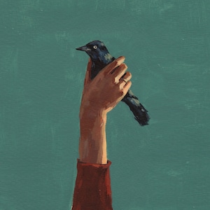 Bird in Hand . HORIZONTAL / landscape giclee print