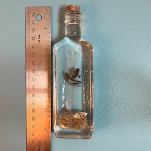 Könnte beinhalten: Eine durchsichtige Glasflasche mit einem Korkverschluss enthält einen kleinen Frosch und Muscheln in Sand. Die Flasche ist etwa 15 cm hoch.