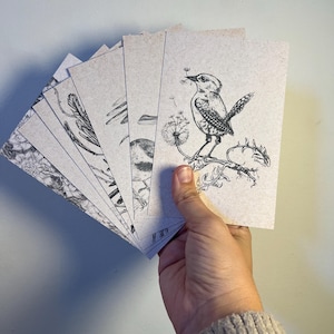 Vögel 7 Postkarten-Kunstdrucke