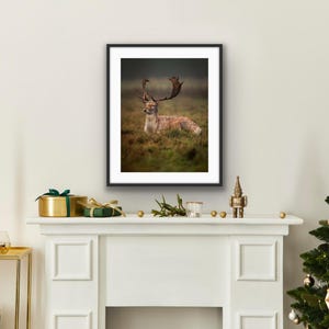 Majestic Stag - High-Quality Wildlife Art Print