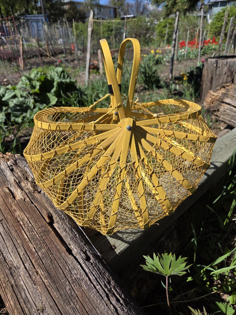May include: A yellow, vintage-style basket with a handle, set against a natural outdoor backdrop. The basket features a woven design and is made of a light-colored material. The handle is arched, and the basket is resting on a wooden surface.