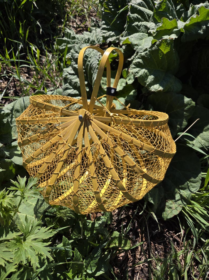 May include: A yellow, woven basket with a handle, set against a backdrop of green foliage. The basket's design features a lattice-like pattern, with a sturdy handle for carrying. The basket is likely used for gathering items.