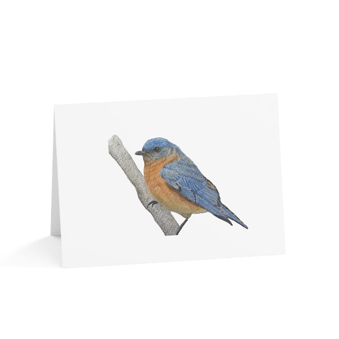 Bluebird Hand Drawn Card Print - Thank You Cards - Sympathy Card - (1 ...