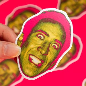 Nicolas Cage Vinyl Sticker | Crazy Cage Pop Art | Funky | Meme