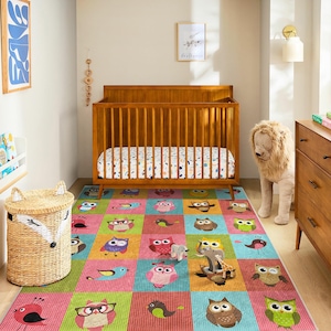 Owl Kids Rug Colorful Cartoon Birds Play Mat for Nursery Decor Animal Play Mat Bright Cartoon Owl Bird Design Kids Rug