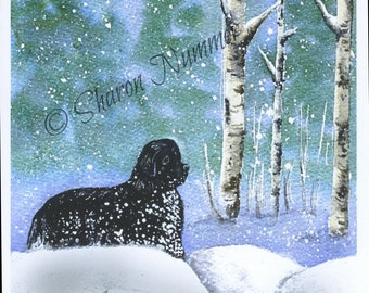 Original Newfoundland Dog Christmas Greeting Cards By S Nummer