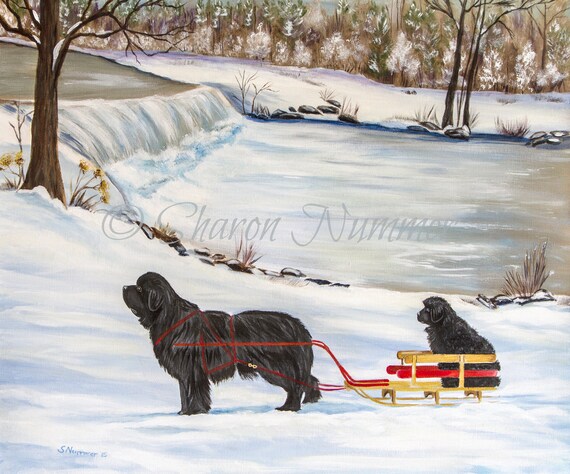 Newfoundland Dog Art Print Sleigh Ride by S Nummer