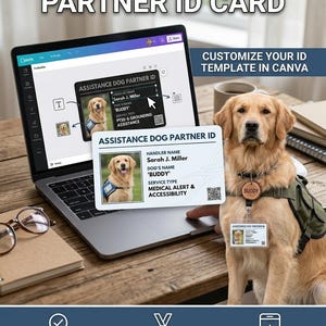 Peut inclure: Un chien de race Golden Retriever porte un gilet de service et une étiquette d'identification "Buddy", à côté d'un ordinateur portable affichant un modèle de carte d'identification de partenaire de chien d'assistance. La carte d'identité comprend le nom du maître et le type de service.