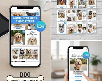 Najlepszy 24-punktowy zestaw do treningu psów