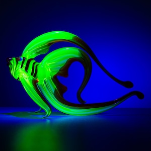 Peut inclure: Sculpture en verre vert fluo représentant un poisson aux nageoires et à la queue fluides. Le poisson présente des rayures noires et vertes sur son corps, sur fond bleu foncé. L'éclairage crée un effet lumineux.