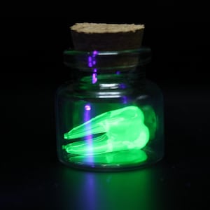 Peut inclure: Un petit bocal en verre transparent avec un bouchon en liège contenant un objet en forme de dent brillant d'un vert néon éclatant. L'intérieur du bocal est illuminé par une lumière verte vive, créant un contraste marqué avec le fond sombre.
