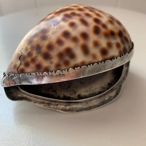 May include: A decorative shell-shaped box with a hinged lid. The shell has a natural pattern of brown spots on a cream background. The box is trimmed with a silver-colored metal band around the edges.