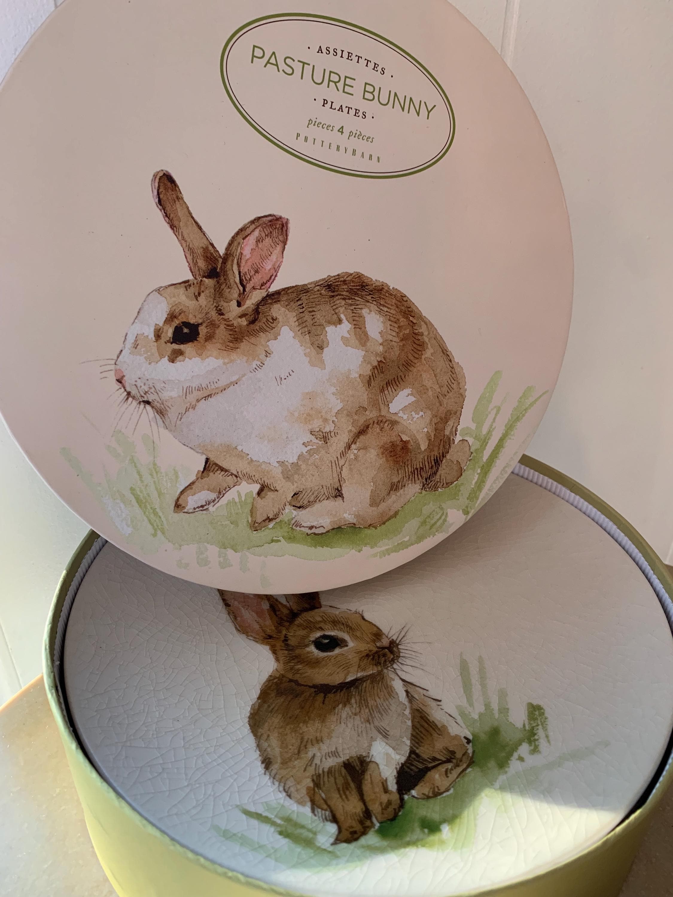 Appetizer Plates Pottery Barn Rabbit Plates Metahom Spring Salad