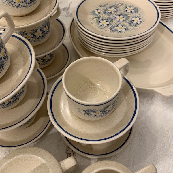 Temper ware By Lenox Dew Drops Blue Stripe White Daisy Flowers MCM Dinnerware Replacements