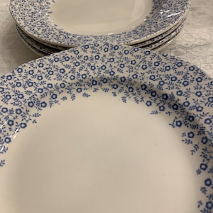 Burleigh Felicity Recessed Salad Plates Set Of Four Blue Flowers