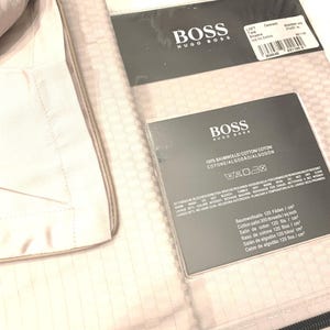 Boss Hugo Boss Cement King Size Pillow Shams NOS