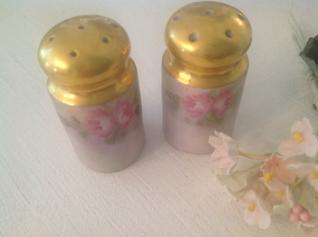 Hand Painted Salt and Pepper Shakers Vintage Tiny Salt and Pepper Shakers Shabby Chic Roses