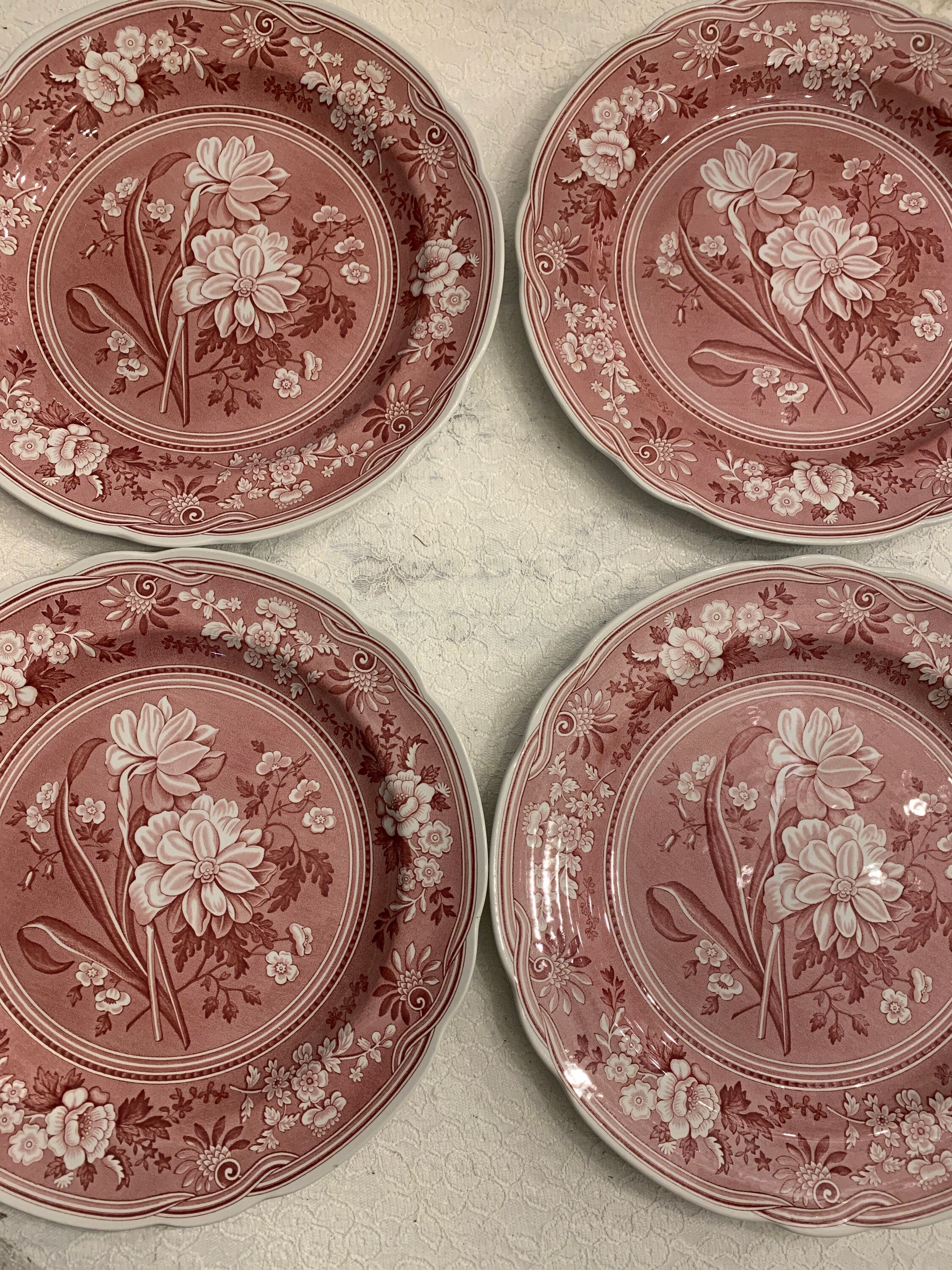 IP65防水 【貴重美品】Spode インディアンレッド 4種類