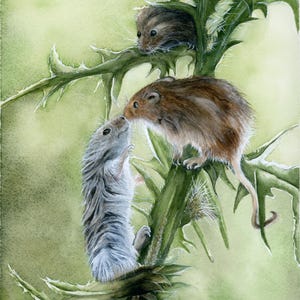 Harvest Mice Art, woodland animal painting, cute mouse wall decor, nature-inspired wildlife illustration, Mouse Watercolor