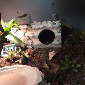 3D Printed Wetbox/Humid Hide  Perfect for Snakes, Geckos, Spiders, Crabs, Frogs, Fish and More! CUSTOM SIZES AVAILABLE!