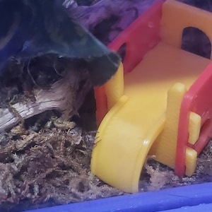 K&ouml;nnte beinhalten: Eine kleine gelbe und rote Plastikrutsche f&uuml;r ein Spielset. Die Rutsche befindet sich in einem Terrarium mit gr&uuml;nem Moos und einem braunen Ast.