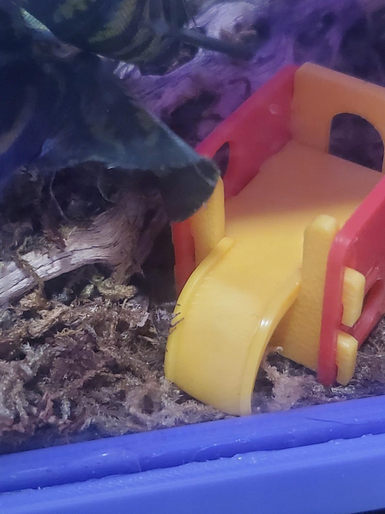 K&ouml;nnte beinhalten: Eine kleine gelbe und rote Plastikrutsche f&uuml;r ein Spielset. Die Rutsche befindet sich in einem Terrarium mit gr&uuml;nem Moos und einem braunen Ast.