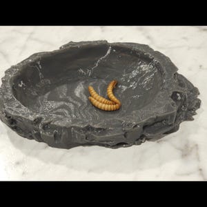 Stone Food/Bug Dish for Geckos, Lizards, Snakes, Frogs, Hermit Crabs, Small Pets and Reptiles. Custom Sizes Available!