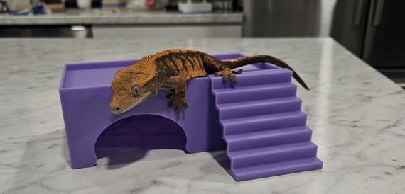 3D Printed Reptile Hide with Lounge: Gecko, Lizard, Crab Habitat