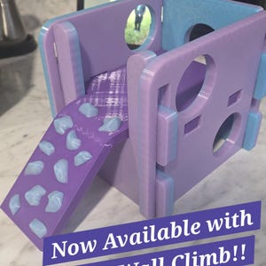 Personalized Reptile "Little Tikes" Jungle Gym Slide: Gecko, Snake, Frog Enrichment Toy Larger Size Now Available!!