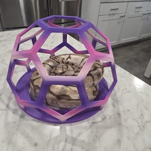 May include: A ball python coiled inside a geometric, dome-shaped enclosure. The structure features a gradient color scheme transitioning from purple at the base to pink and light purple at the top, constructed with a series of interconnected pentagonal frames.