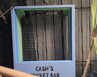 Custom Chameleon Cricket Feeder. Pin Or Magnet Options for Screen & Glass Enclosures!
