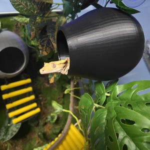 3D Printed Gecko Hidey Hut: Magnetic/Suction Cup Reptile Cave
