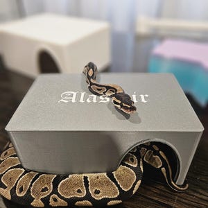 May include: A gray snake hide with a hole for a snake to enter. The hide has the word "Alastir" printed on the top. A snake is partially inside the hide and partially on top of the hide.
