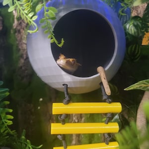 Gecko Coconut Hide with Ladder, Reptile Habitat, 3D Printed