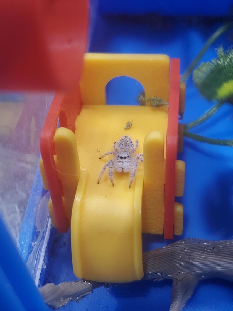 Miniature Little Park Set or Singles. 3D Printed. Perfect for Jumping Spiders Enrichment Toy Bild 2