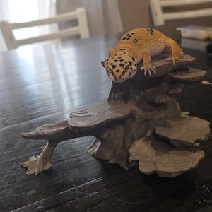 May include: A leopard gecko with yellow and black spots rests on a multi-tiered, brown, 3D-printed reptile habitat. The habitat resembles a tree trunk with several platforms for climbing and basking. The gecko's head is in focus, showing its distinctive markings.
