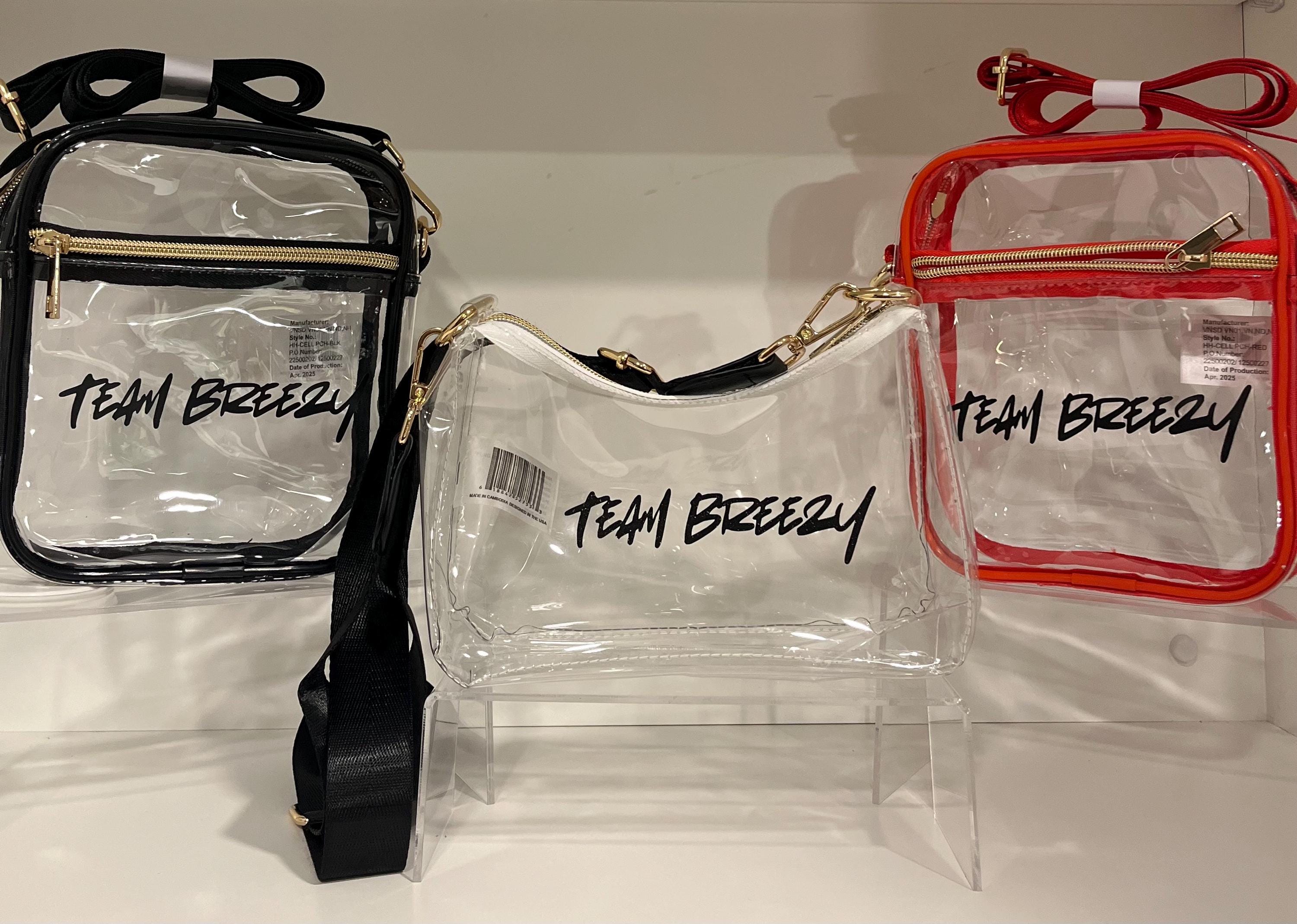 『匿名発送』COZYROSYDAY bag cocoa bustier セット Team Breezy Stadium Bag| R and B Tour| Chris Brown Clear Bag
