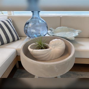 May include: A white ceramic nautilus shell planter containing a small green air plant, resting inside a large, round, light gray concrete bowl. Behind it sits a translucent blue glass vase and a light blue decorative turtle-shaped dish.
