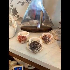May include: Three circular white candle holders, each wrapped in a thick cream-colored rope base and adorned with a single natural seashell. The shells feature varied brown, orange, and white patterns, positioned on the front of each holder.