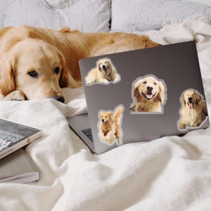Personalized Dog Stickers,Сustom Pet Sticker Using Your Pet Photo,Custom Dog Sticker, Dog Face Sticker,Custom Cat Sticker,Custom Dog Decals