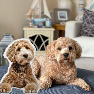 Custom 3D Pet Pillow from Photo, Personalized Dog/Cat Shaped Throw Pillow, Pet Memorial Gift, Personalized Pillow, Dog Gift, Pet Lover Gift