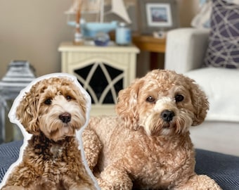Custom 3D Pet Pillow from Photo, Personalized Dog/Cat Shaped Throw Pillow, Pet Memorial Gift, Personalized Pillow, Dog Gift, Pet Lover Gift