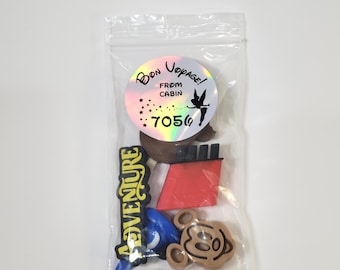 Disney Cruise Magnet Set - Customizable and Personalized - Stateroom Door Decoration, Fish Extender Gift, or Pixie Dust - 3D Printed