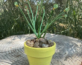 Potplant met kralen (op mini-spin geïnspireerde potplant)