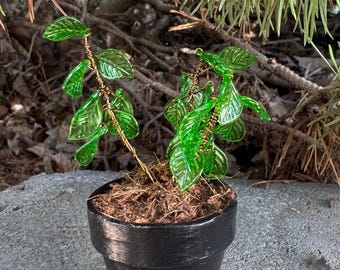 Potplant met kralen (op mini-gebedsplant geïnspireerde potplant)