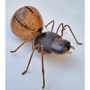 Coconut shell Piggy Bank Ant, Wooden Piggy Bank, Rare Collection, Adult Display Child’s Piggy Bank, Wooden Piggy Bank, Handmade bank
