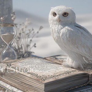 Puede incluir: Un búho blanco con ojos marrones se posa sobre un libro antiguo abierto. Un reloj de arena y elementos decorativos están junto al libro. La escena se desarrolla sobre un fondo nevado borroso, creando una atmósfera serena y etérea.